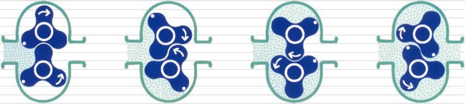 寧波91视频成人网站